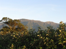 Mountains in the Far Distance From the Kaikoura Hotel.JPG